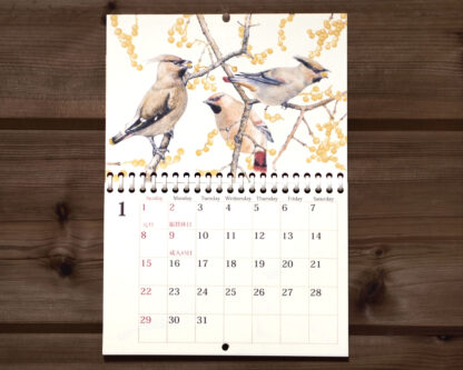 野鳥のカレンダー 2023 (壁かけ版) 全体