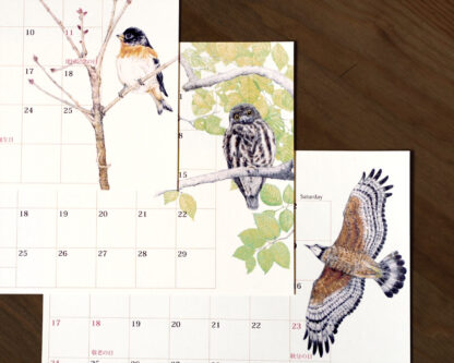 野鳥のカレンダー 2023 各月