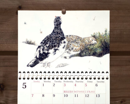 野鳥のカレンダー 2023 (壁かけ版) 5月 ライチョウ