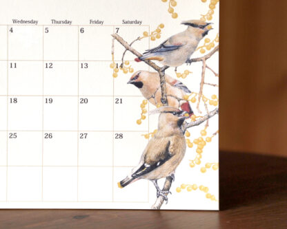 野鳥のカレンダー 2023 (卓上版)