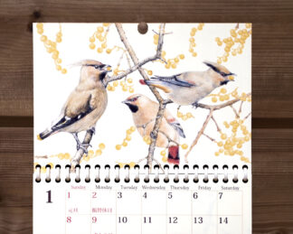 野鳥のカレンダー 2023 (壁かけ版)