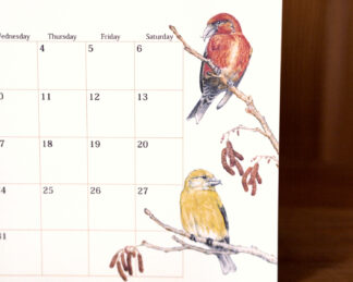 野鳥のカレンダー 2024 (卓上版)