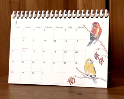 野鳥のカレンダー 2024 (卓上版) 全体