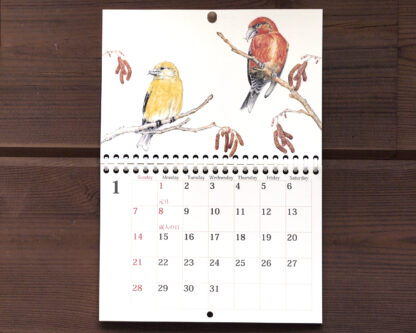 野鳥のカレンダー 2024 (壁かけ版) 全体