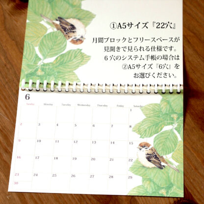 スズメのカレンダー 2024 (リフィル版) A5サイズ