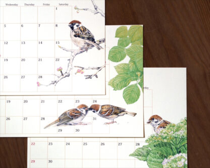 tree-sparrow-calender-refill-2025