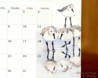 wild-birds-desk-calender-2025