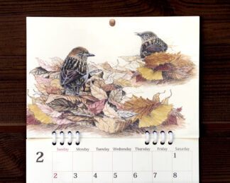 wild-birds-wall-calender-2025