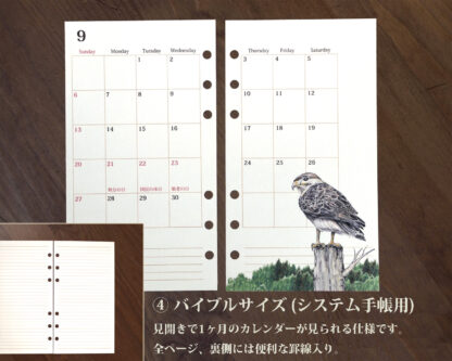 野鳥のカレンダー 2026 (リフィル版) - 画像 (4)