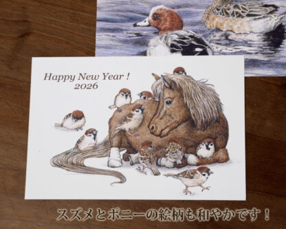 ヒドリガモの年賀状 2026 - 画像 (2)