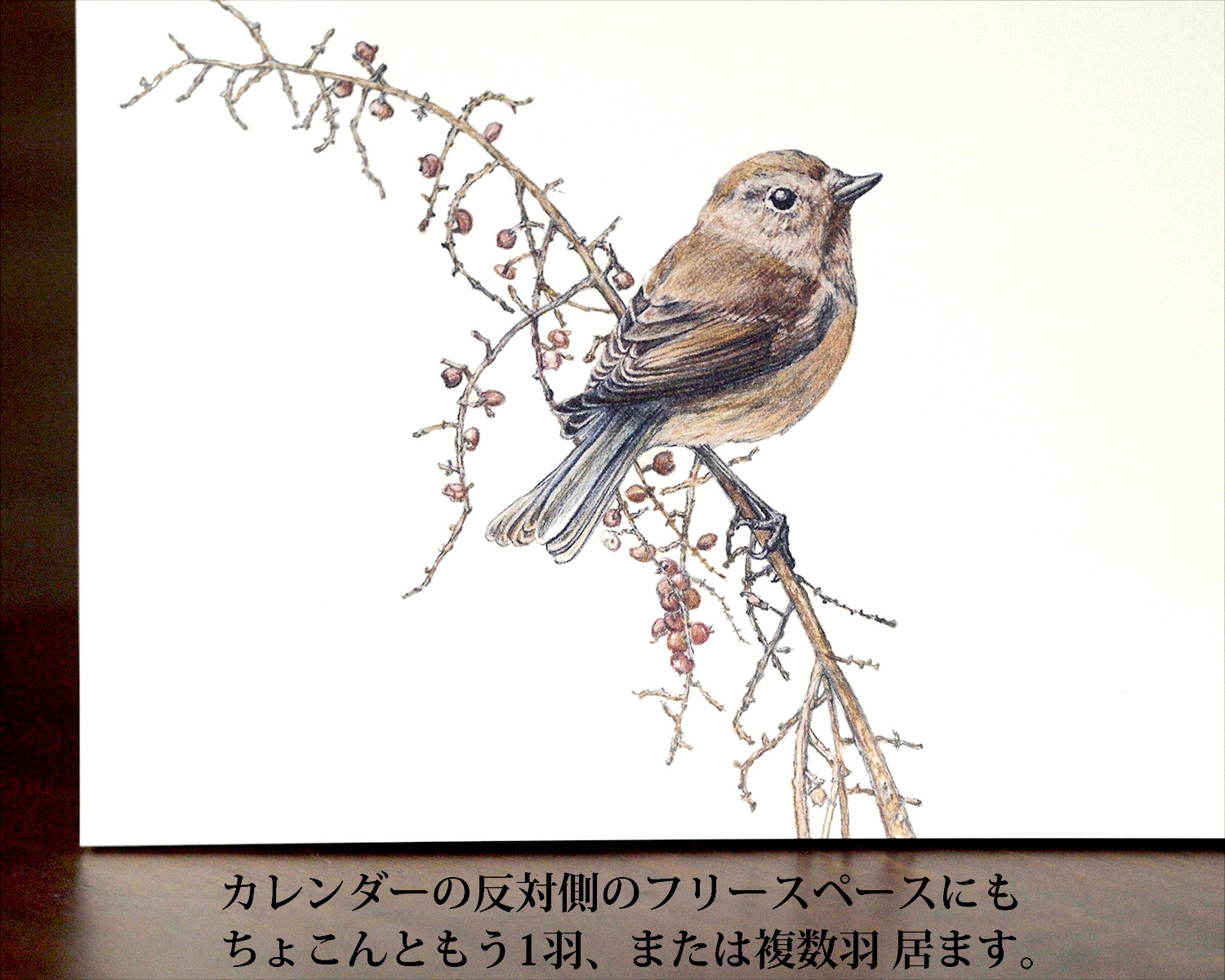 野鳥のカレンダー 2027 (卓上版) - 画像 (3)