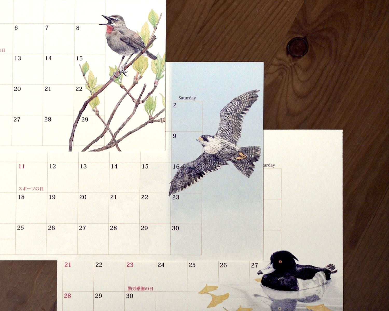 野鳥のカレンダー 2027 (リフィル版)
