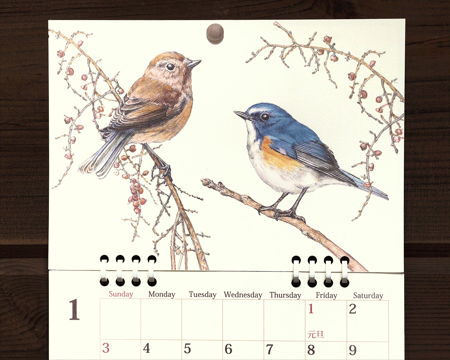 野鳥のカレンダー 2027 (壁かけ版)