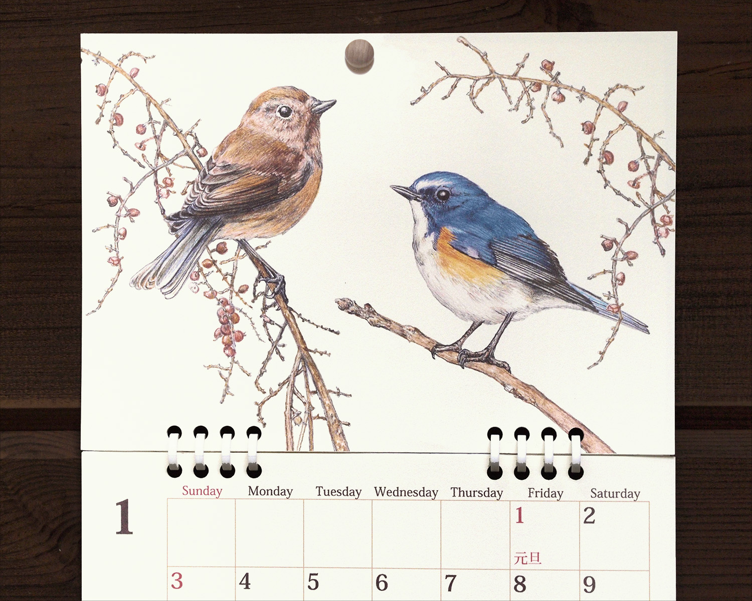 野鳥のカレンダー 2027 (壁かけ版)